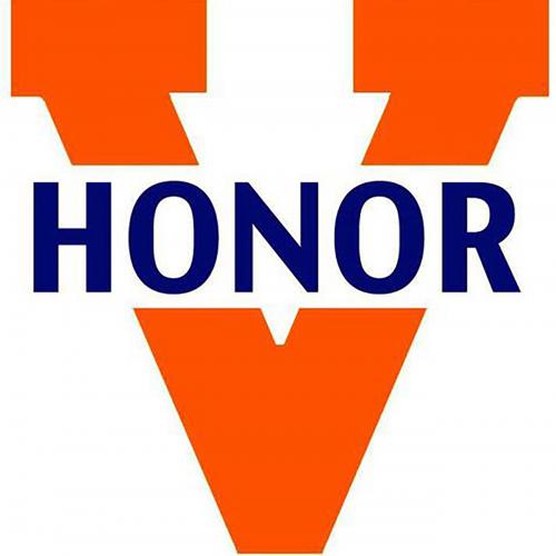 Honor V